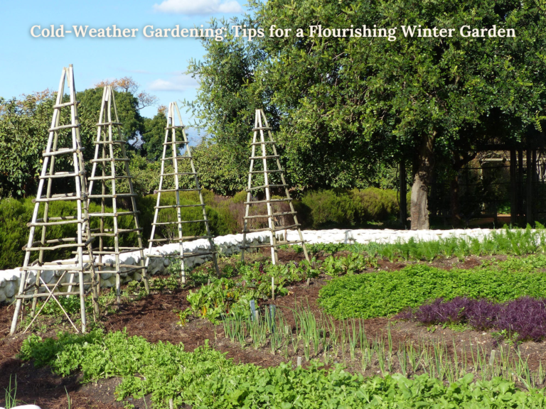 Cold-Weather Gardening: Tips for a Flourishing Winter Garden