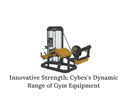 Innovative Strength: Cybex’s Dynamic Range of Gym Equipment