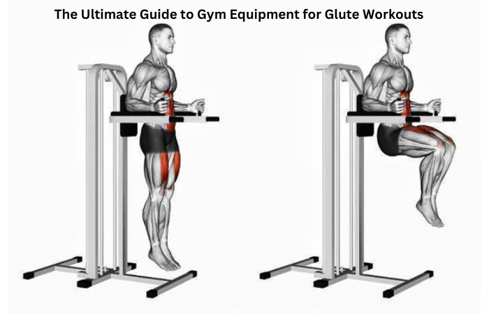 gym equipment for glutes
